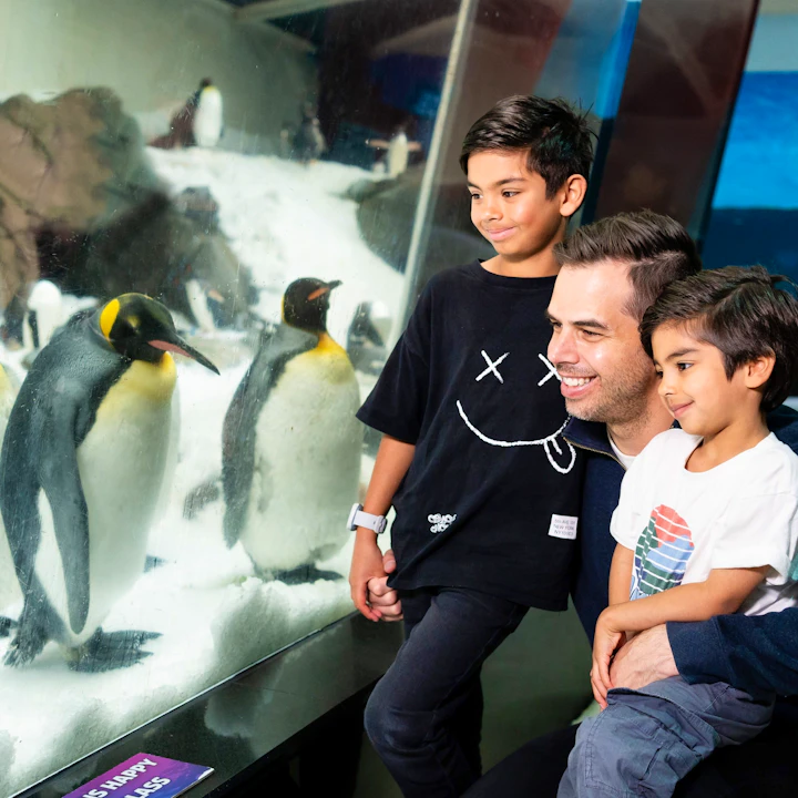 SEA LIFE Melbourne Aquarium Tickets Discount